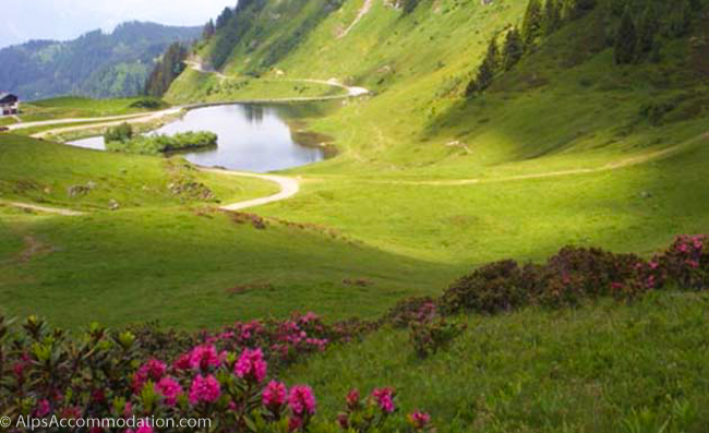 Lac%20du%20Joux%20Plane%20Samoens