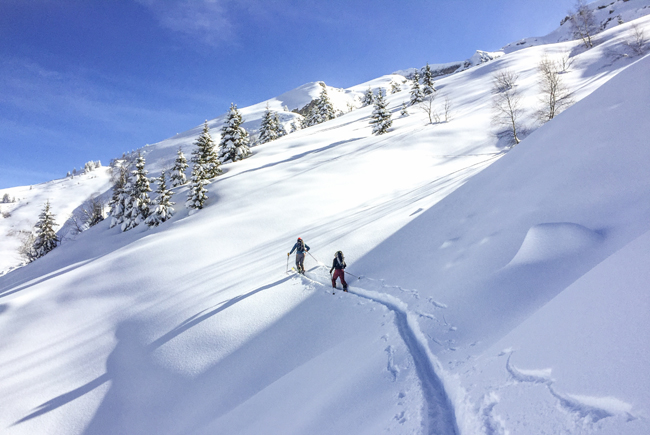 Perfect Untouched Snow